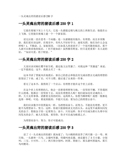 一头灵魂出窍的猪读后感250字
