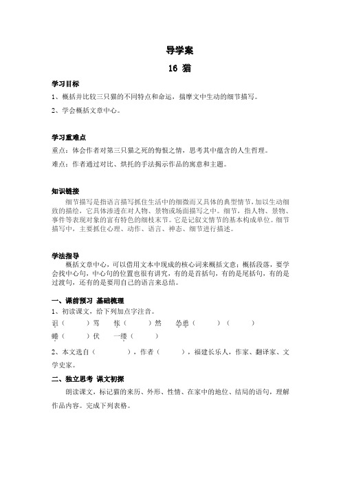 猫  衡水中学内部   衡水中学内部学案