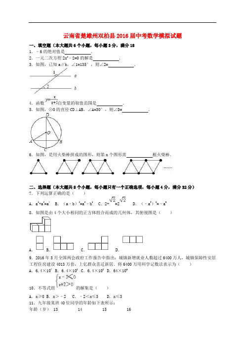 云南省楚雄州双柏县2016届中考数学模拟试题(含解析)