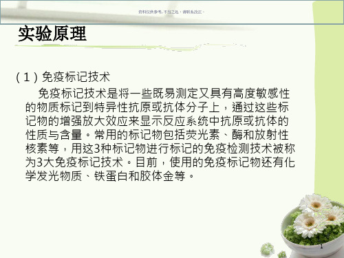 辣根过氧化物酶标记