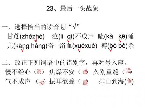 人教版小学语文六年级上册练习《23课最后一头战象》