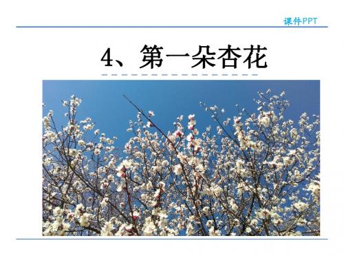 2019年春季最新鄂教版三年级下册语文4 第一朵杏花 课件(共33张ppt)