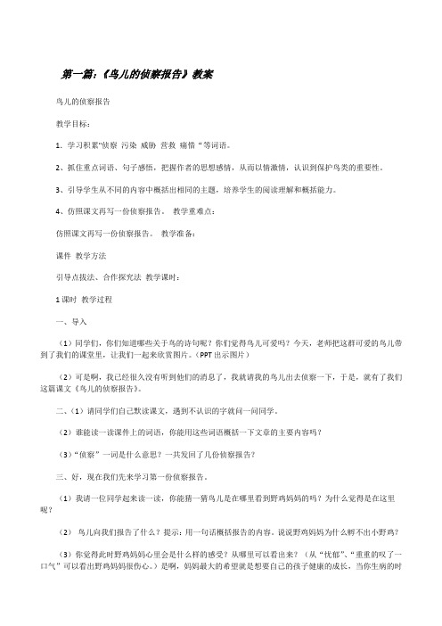 《鸟儿的侦察报告》教案[修改版]