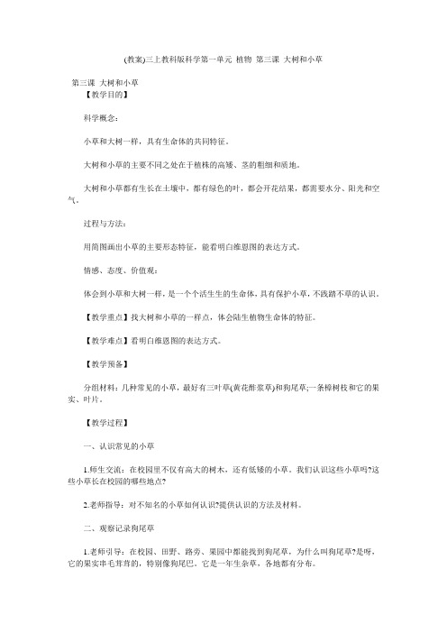 (教案)三上教科版科学第一单元 植物 第三课 大树和小草