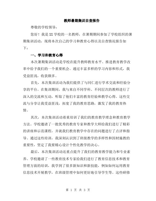 教师暑期集训自查报告
