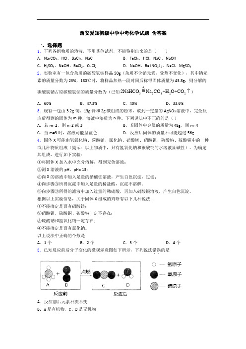 西安爱知初级中学中考化学试题 含答案
