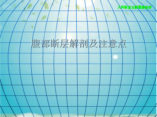 腹部断层解剖及注意点