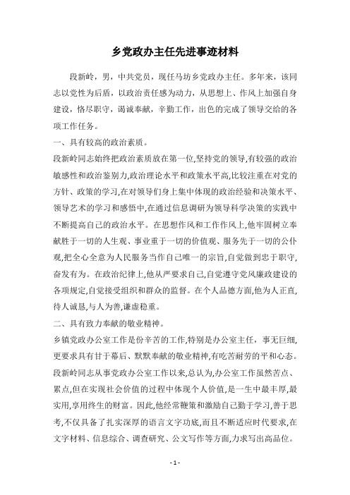 乡党政办主任先进事迹材料