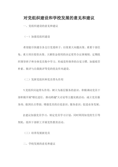 对党组织建设和学校发展的意见和建议