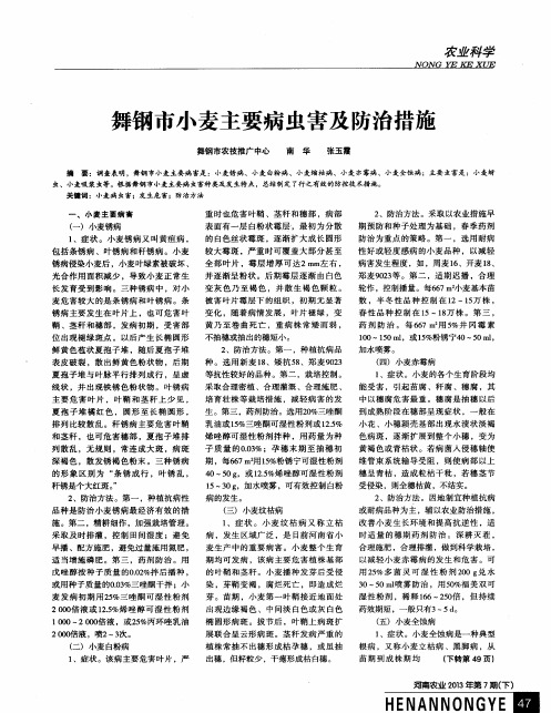 舞钢市小麦主要病虫害及防治措施