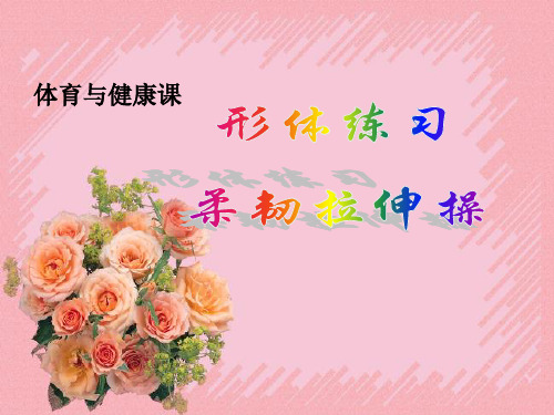 形体柔韧操课件