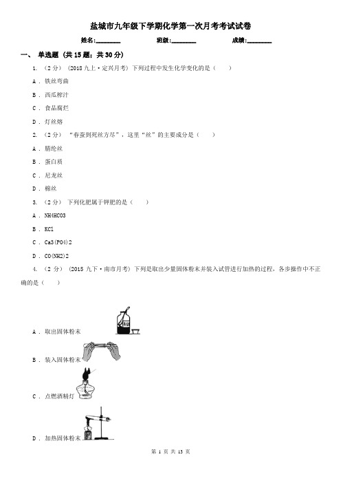 盐城市九年级下学期化学第一次月考考试试卷