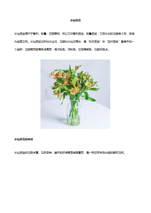 水仙百合知识科普
