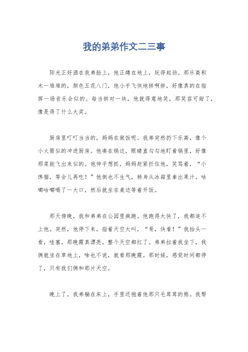 我的弟弟作文二三事