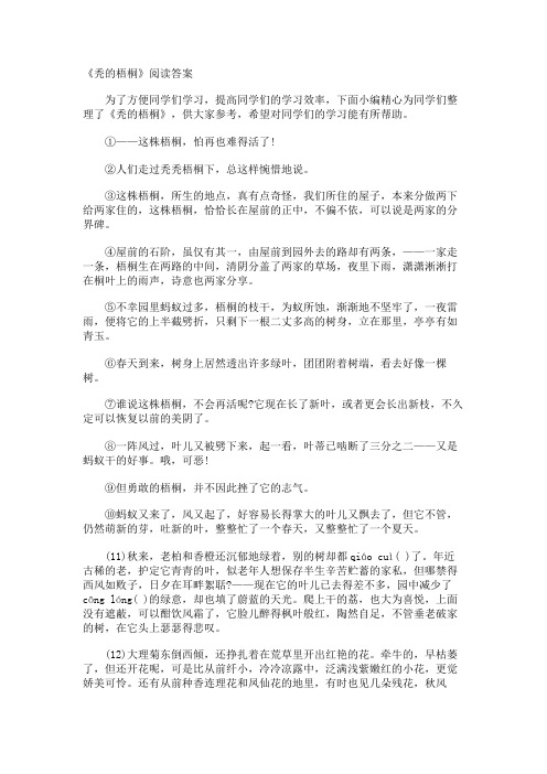 《秃的梧桐》阅读答案
