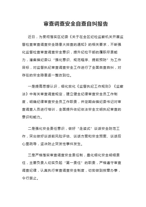 审查调查安全自查自纠报告