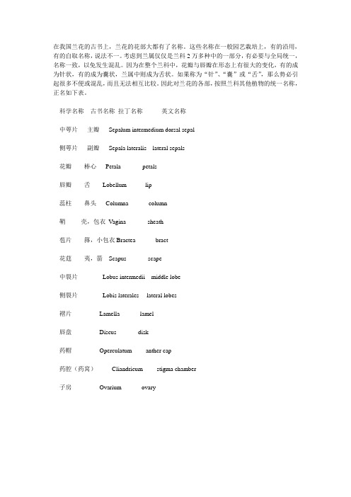 兰花花的结构和名称