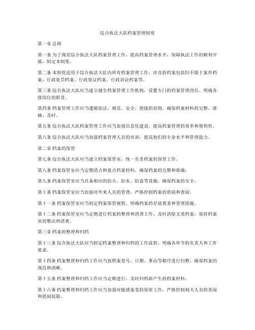 综合执法大队档案管理制度