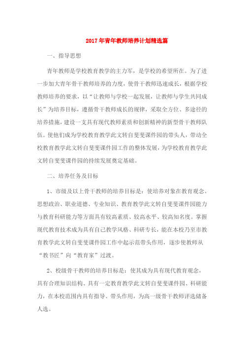 2017年青年教师培养计划精选篇