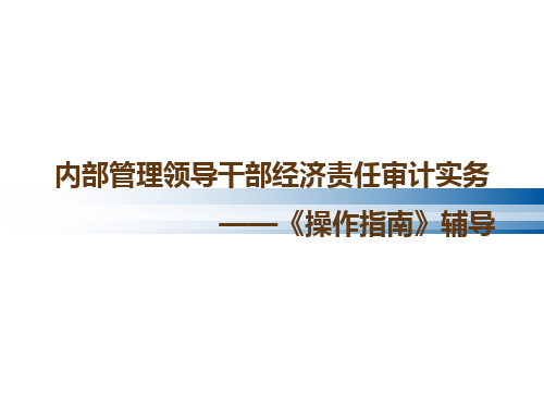 内部管理领导干部经济责任审计实务——《操作指南》辅导