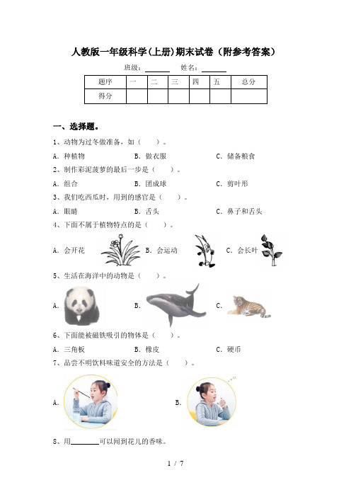 人教版一年级科学(上册)期末试卷(附参考答案)
