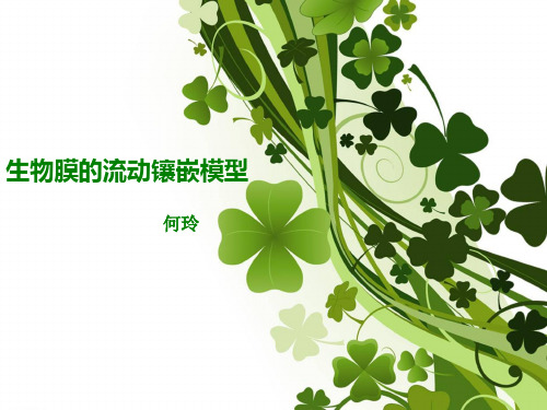 生物膜的流动镶嵌模型(最终使用版)
