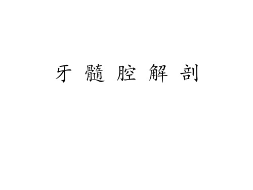 髓腔解剖 PPT