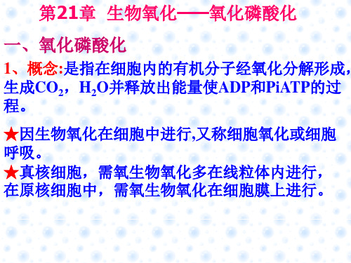 第21章 生物氧化——氧化磷酸化 ppt课件