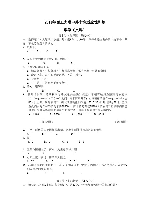 陕西省西工大附中2011届高三第十次适应性训练(数学文)