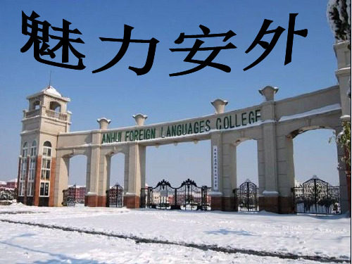 魅力安徽外国语学院