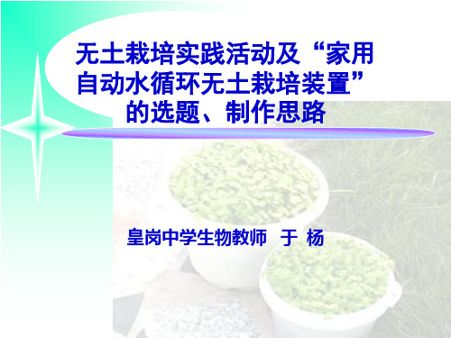无土栽培实践