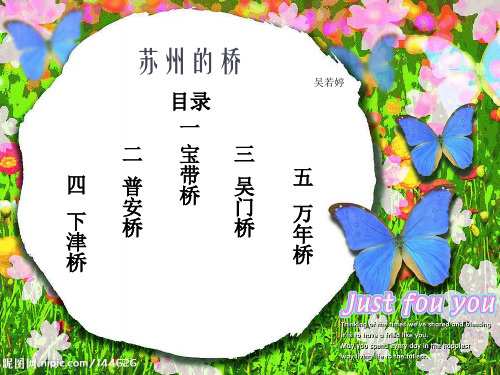 苏州的桥(3)