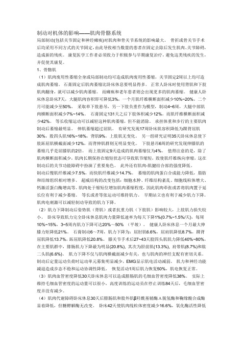 制动对机体的影响——肌肉骨骼系统