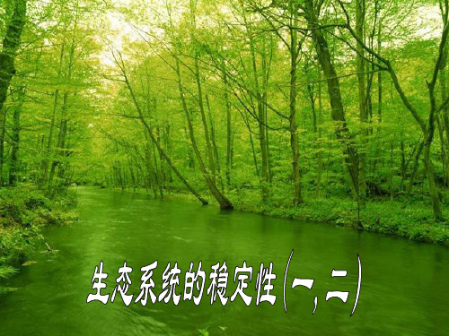 生态系统的稳定性