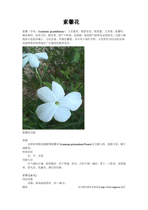 素馨花