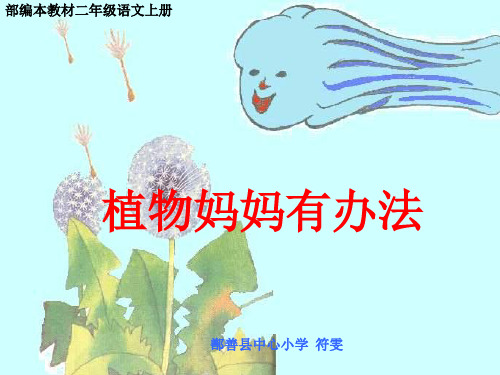二年级上册语文课件 -《3植物妈妈有办法》人教部编版 (共25张PPT)
