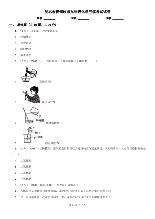 吴忠市青铜峡市九年级化学五模考试试卷