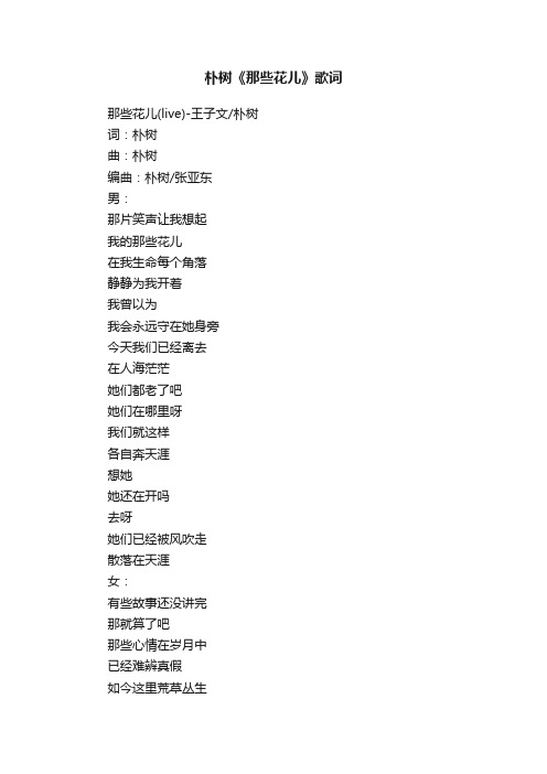朴树《那些花儿》歌词