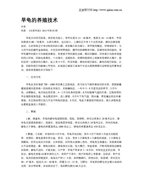 旱龟的养殖技术