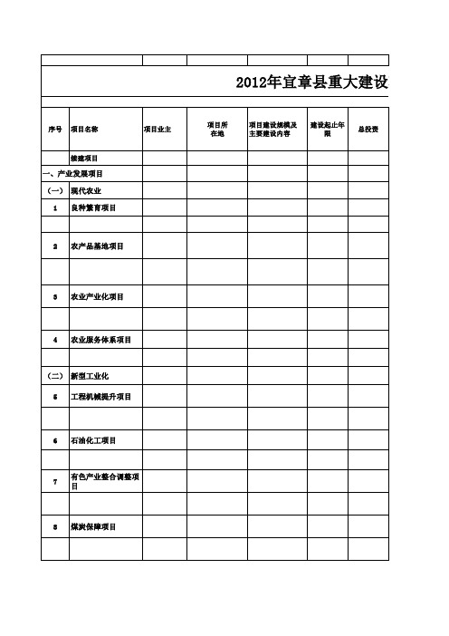 重大前期工作项目表
