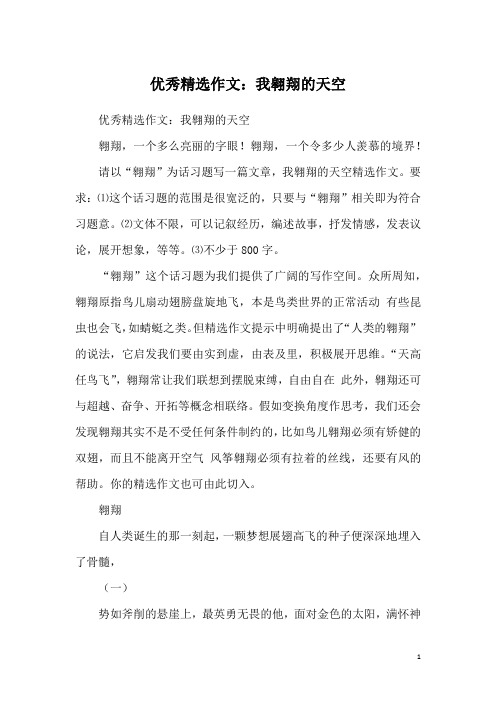 优秀精选作文：我翱翔的天空