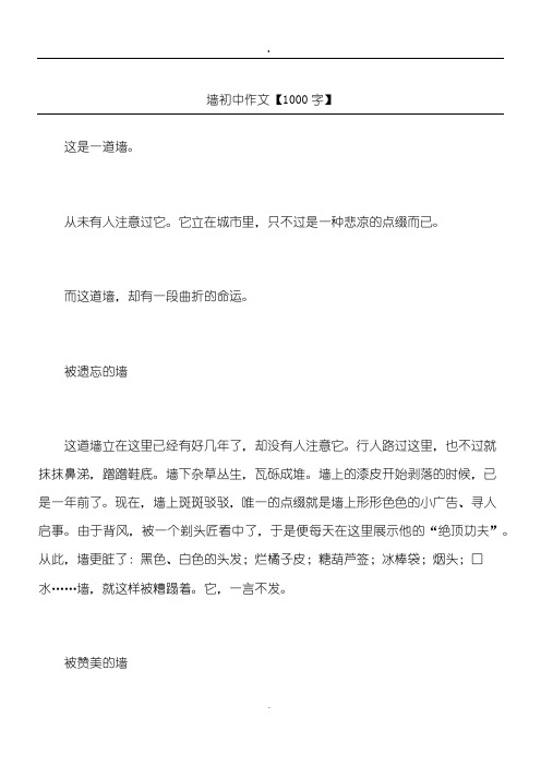 墙 初中作文【1000字】