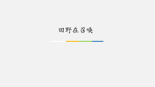 苏少版小学四年级音乐下册(五线谱)田野在召唤_课件1