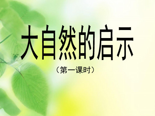 人教新课标四年级语文下册第十二课《大自然的启示》PPT教学课件