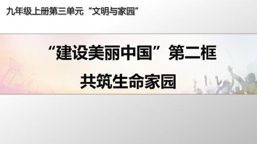 人教版道德与法治九年级上册 6.2 共筑生命家园 课件(共21张PPT)