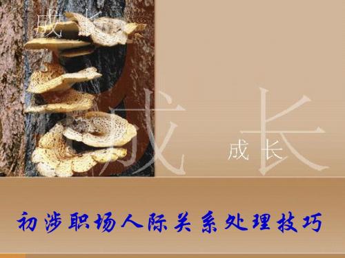 初涉职场人际关系处理技巧