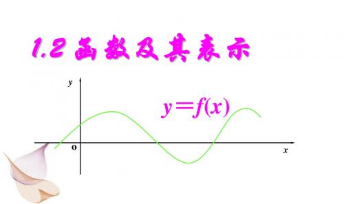 1.2.1函数的概念