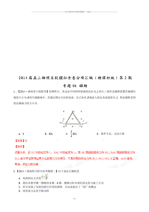 专题06磁场(新课标卷)-高三物理名校模拟金卷分项汇编(第02期)(解析版)