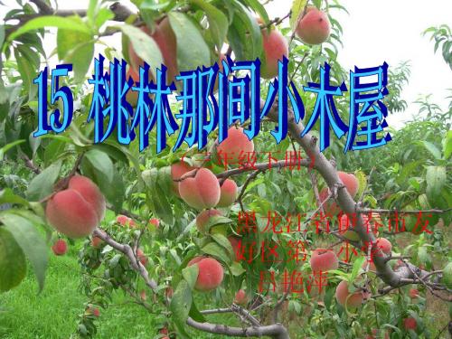 桃林那间小木屋课件