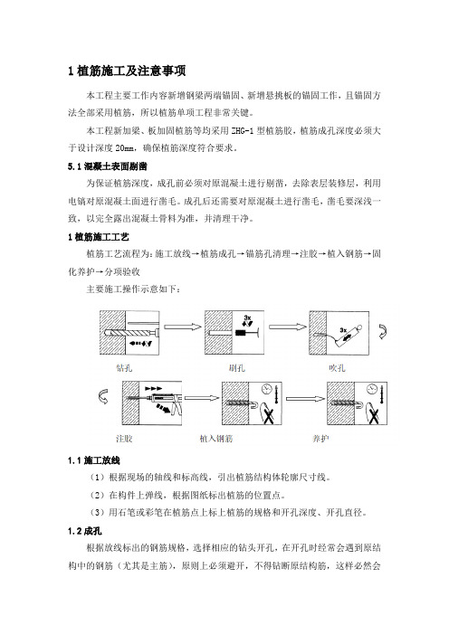 植筋施工方案